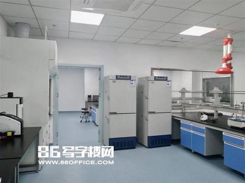 張江藥谷衡谷1976 環(huán)評齊全3000平可分割試驗(yàn)研發(fā)空間出租